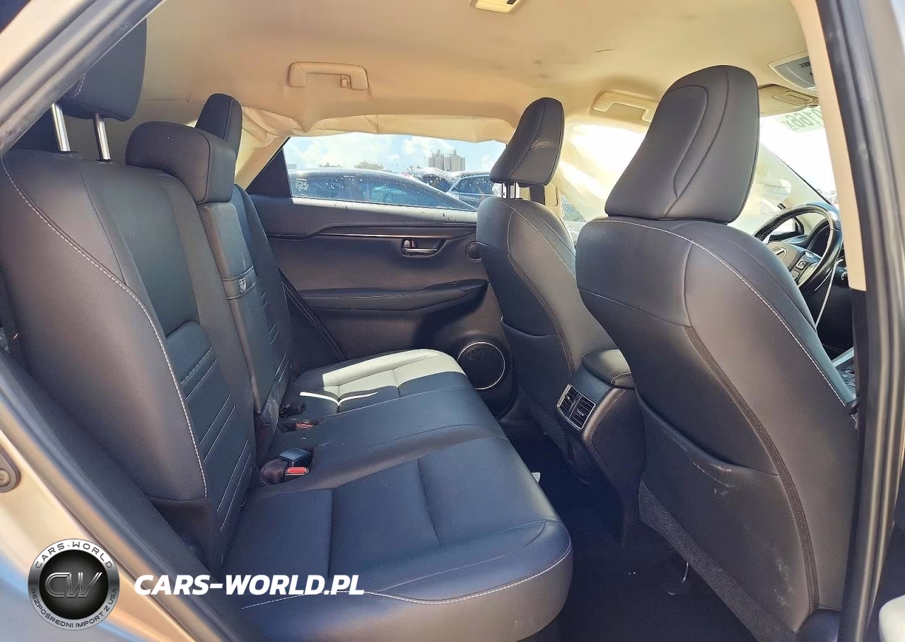 2018 Lexus Nx 300 Base VIN:JTJYARBZ5J2114692 - 10