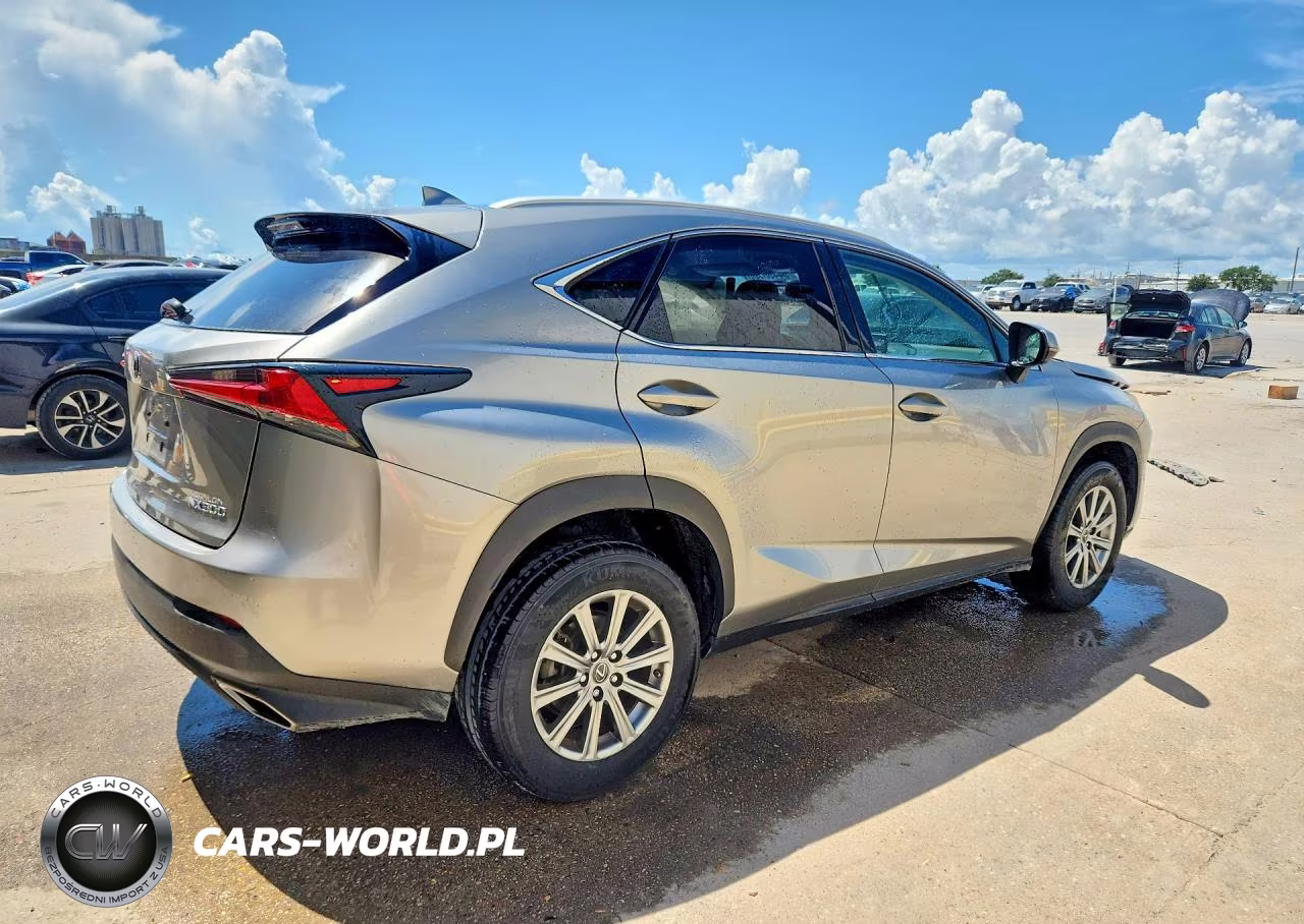 2018 Lexus Nx 300 Base VIN:JTJYARBZ5J2114692 - 3
