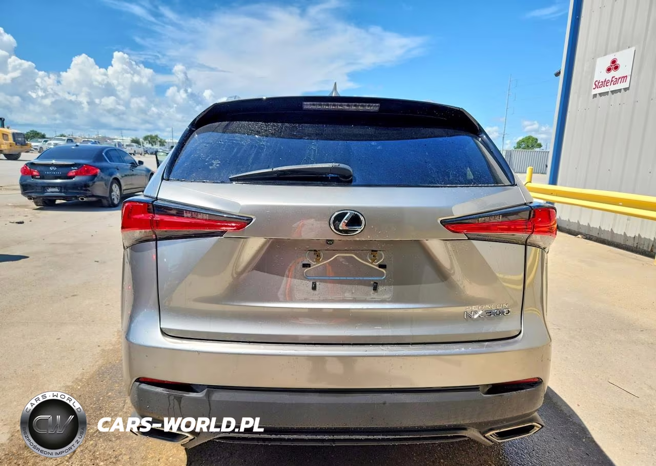 2018 Lexus Nx 300 Base VIN:JTJYARBZ5J2114692 - 6