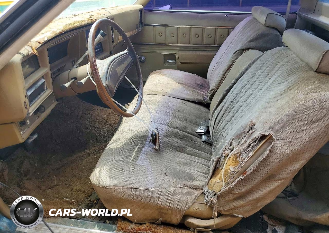 1975 Chevrolet Elcamino VIN:00001D80H5R421153 - 7