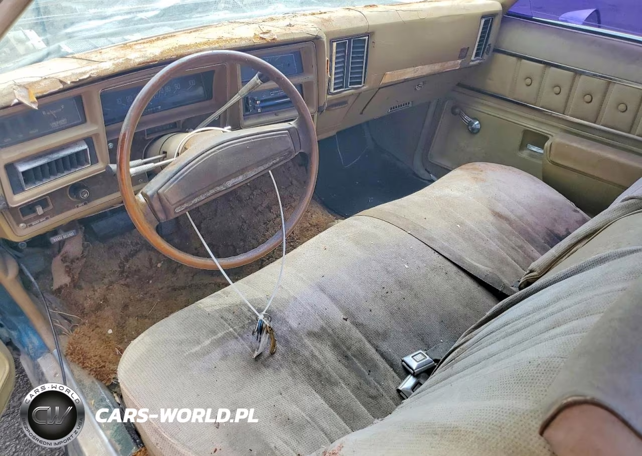 1975 Chevrolet Elcamino VIN:00001D80H5R421153 - 8