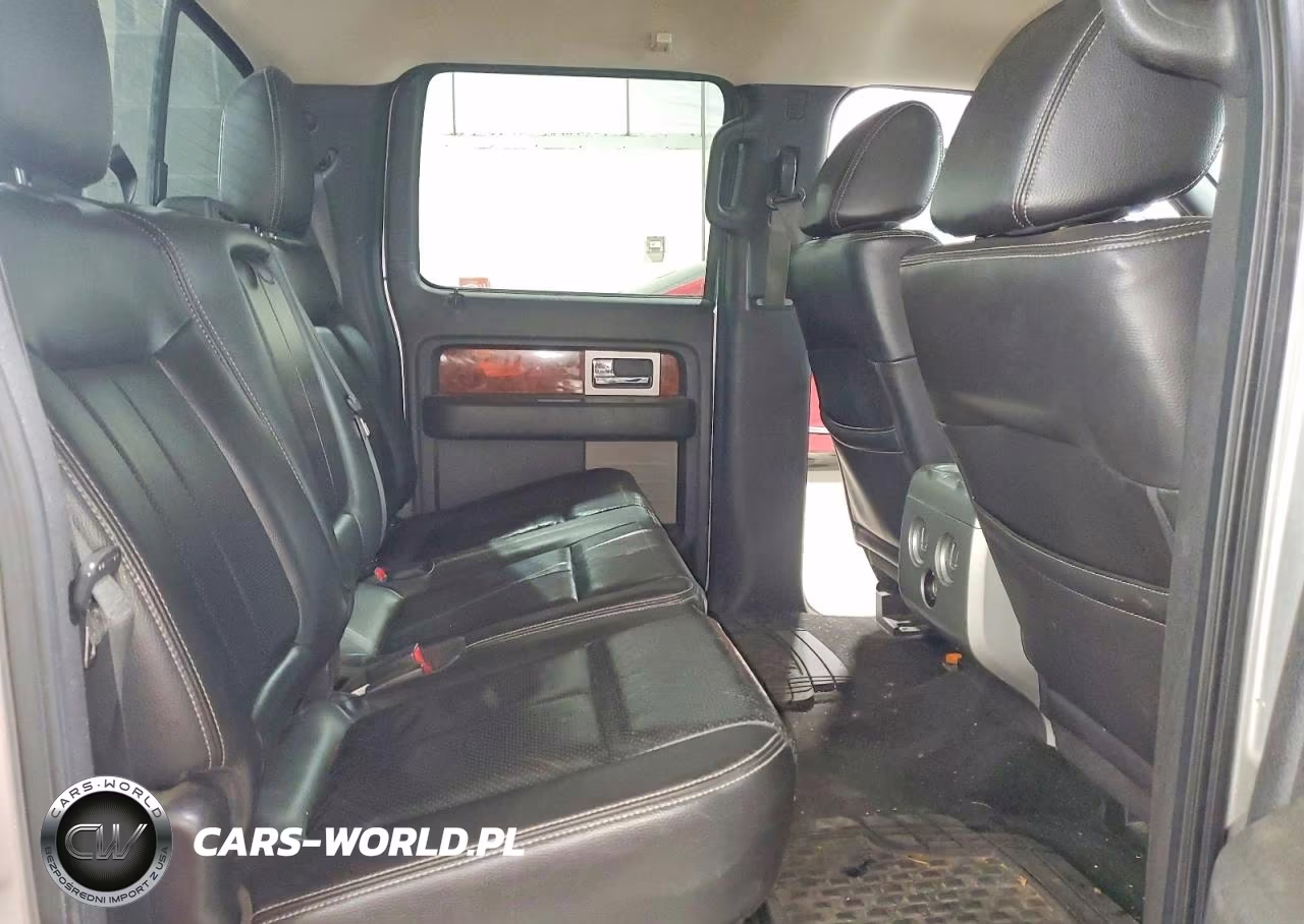 2010 Ford F150 Supercrew VIN:1FTFW1EV4AFC98179 - 10