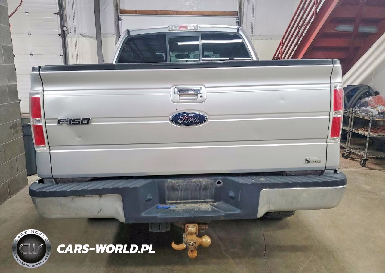 2010 Ford F150 Supercrew VIN:1FTFW1EV4AFC98179 - 6