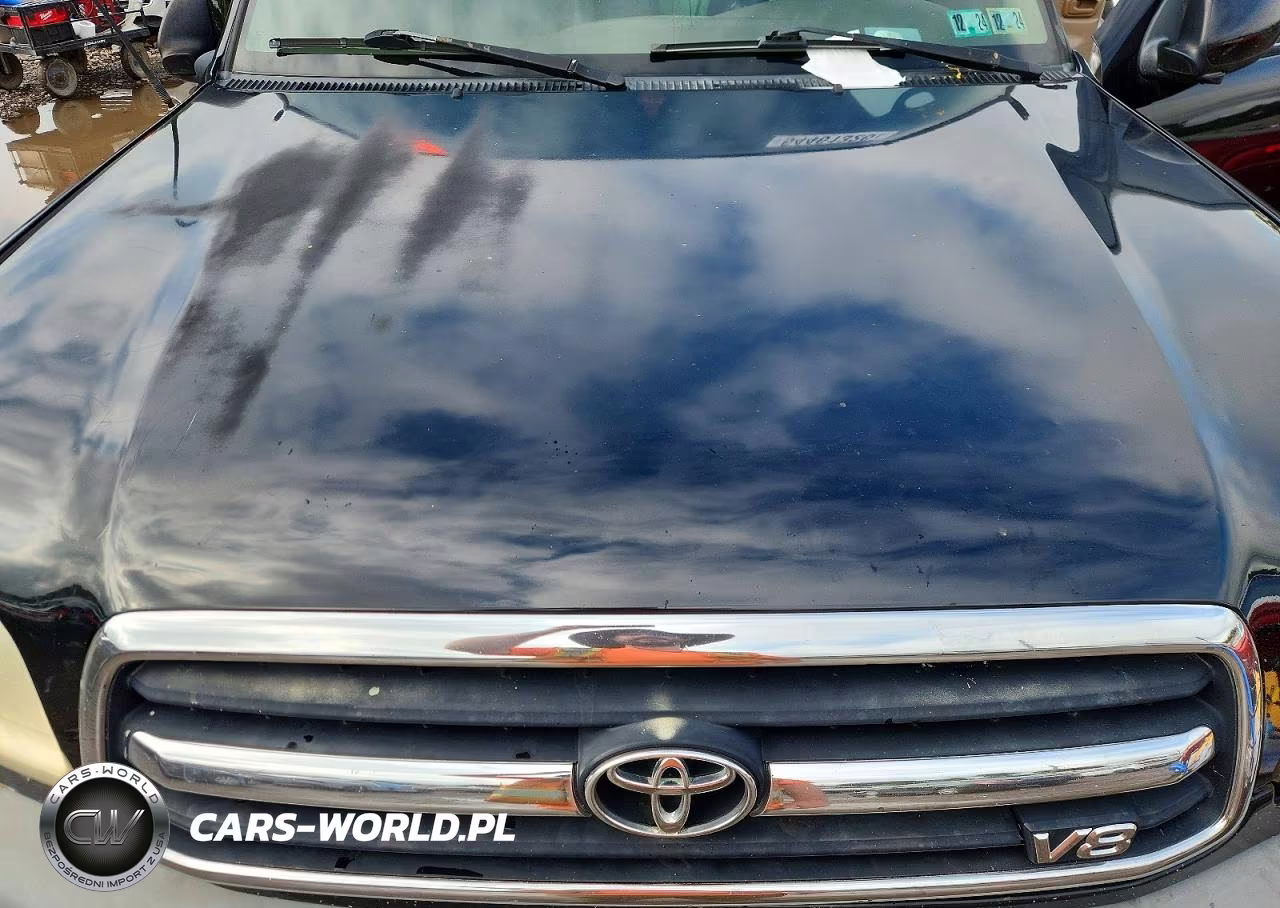 2002 Toyota Tundra Access Cab Limited VIN:5TBBT48192S282782 - 11