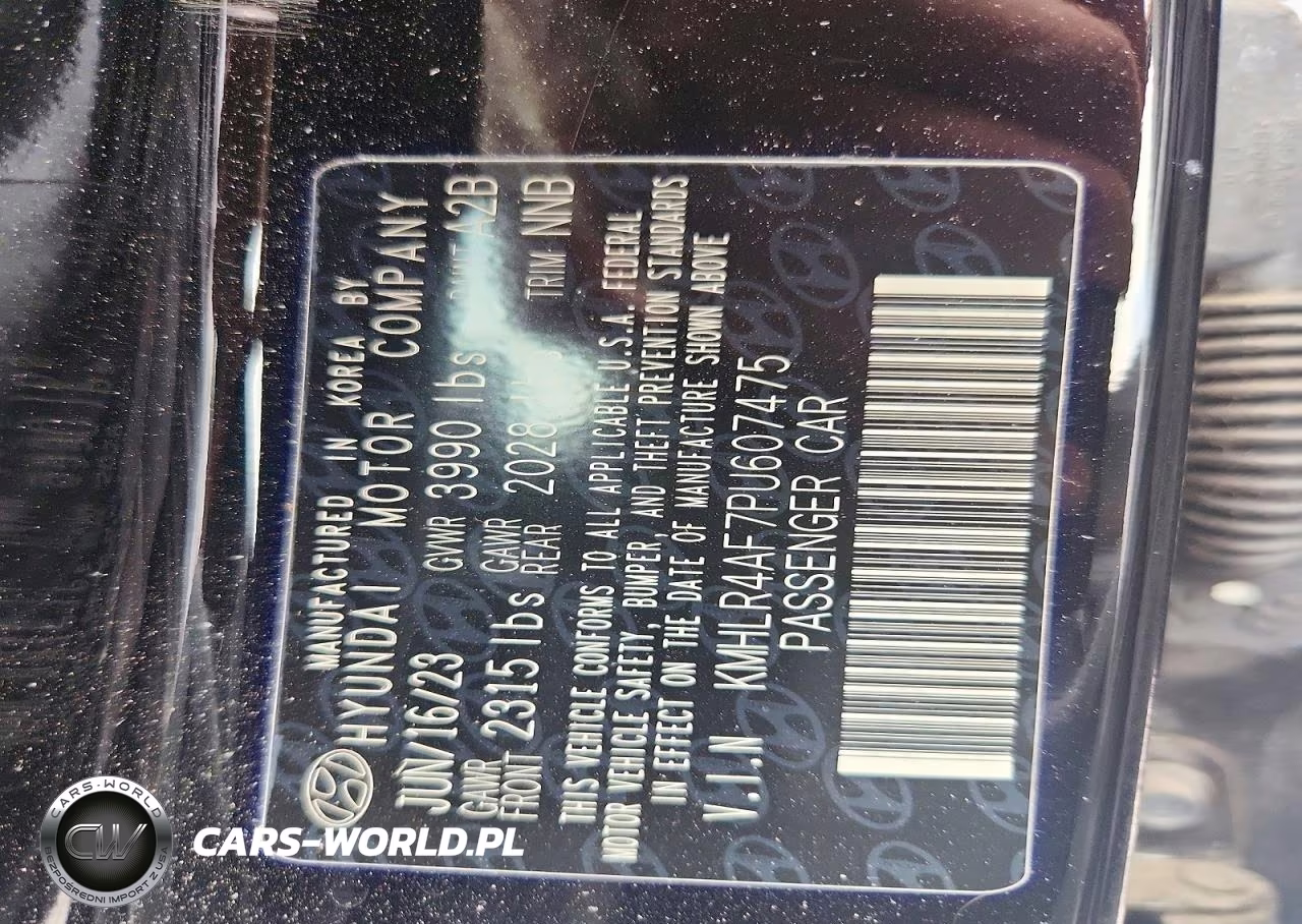 2023 Hyundai Elantra N Line VIN:KMHLR4AF7PU607475 - 12