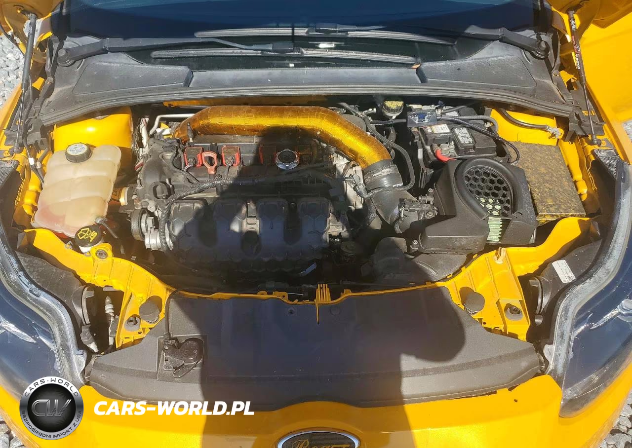2013 Ford Focus St VIN:1FADP3L91DL185839 - 11