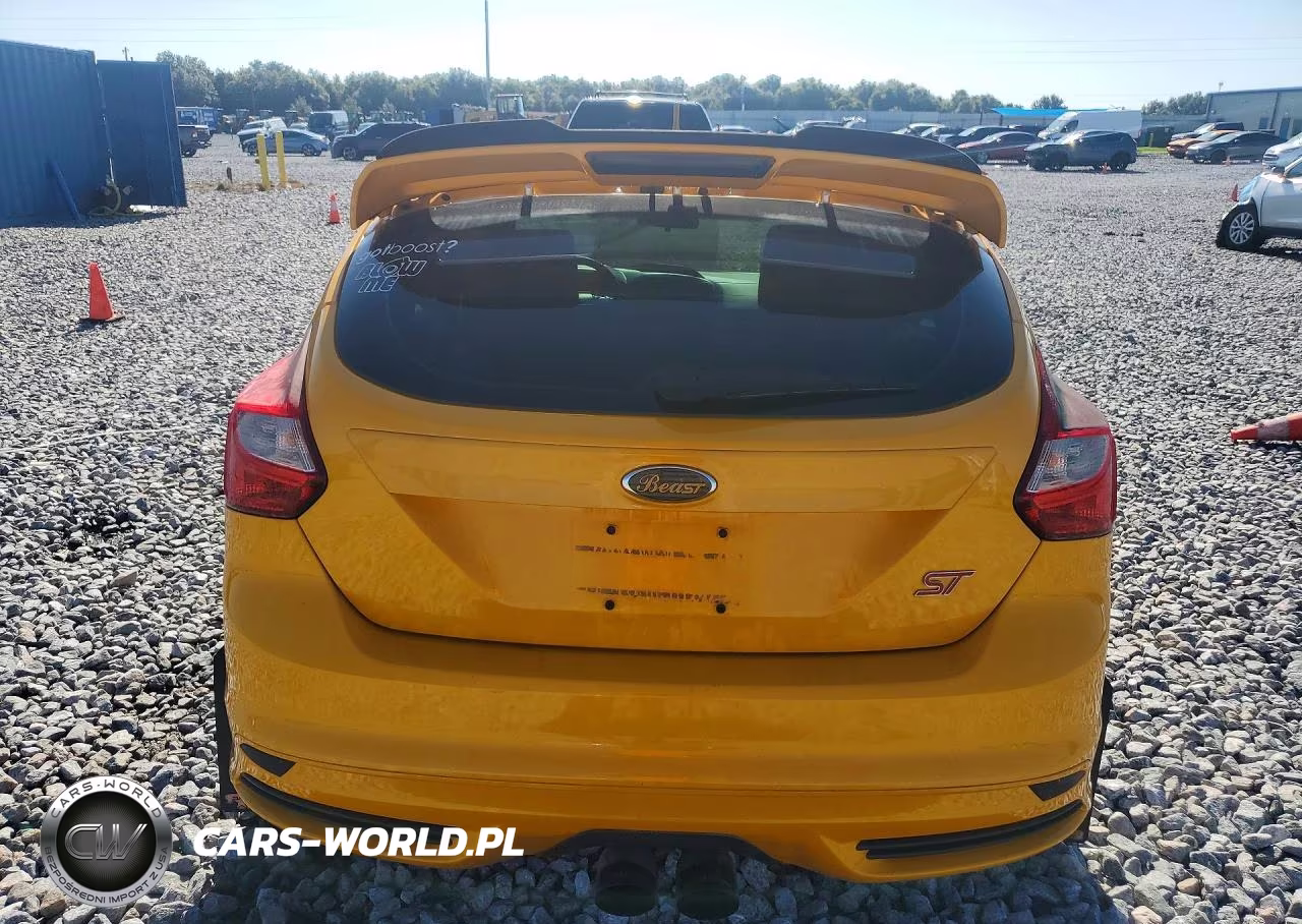 2013 Ford Focus St VIN:1FADP3L91DL185839 - 6