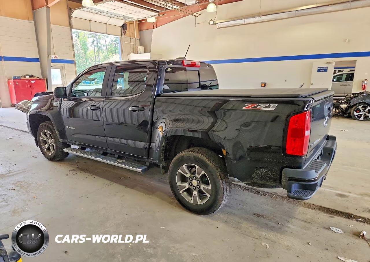 2019 Chevrolet Colorado Z71 VIN:1GCGTDEN0K1118063 - 2