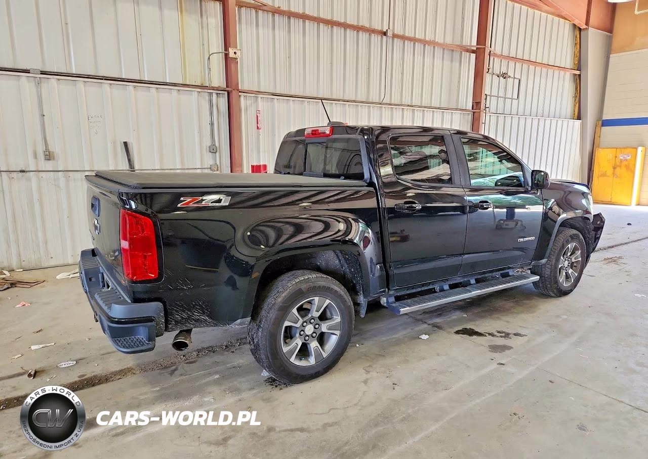 2019 Chevrolet Colorado Z71 VIN:1GCGTDEN0K1118063 - 3