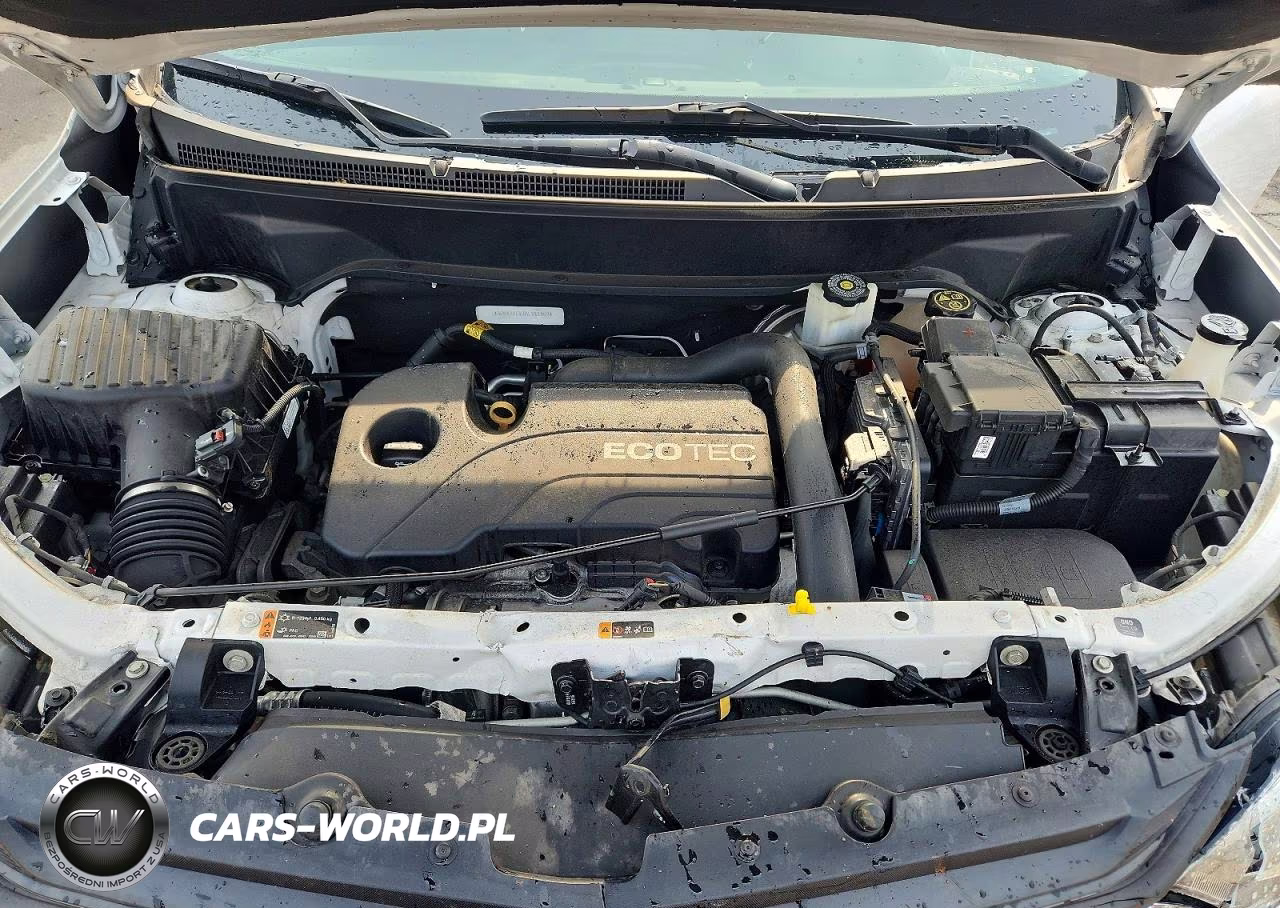 2019 Chevrolet Equinox Lt VIN:3GNAXUEV7KL288852 - 12