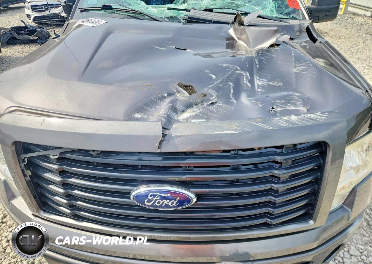 2014 Ford F150 Supercrew VIN:1FTFW1EF0EFC23283 - 11