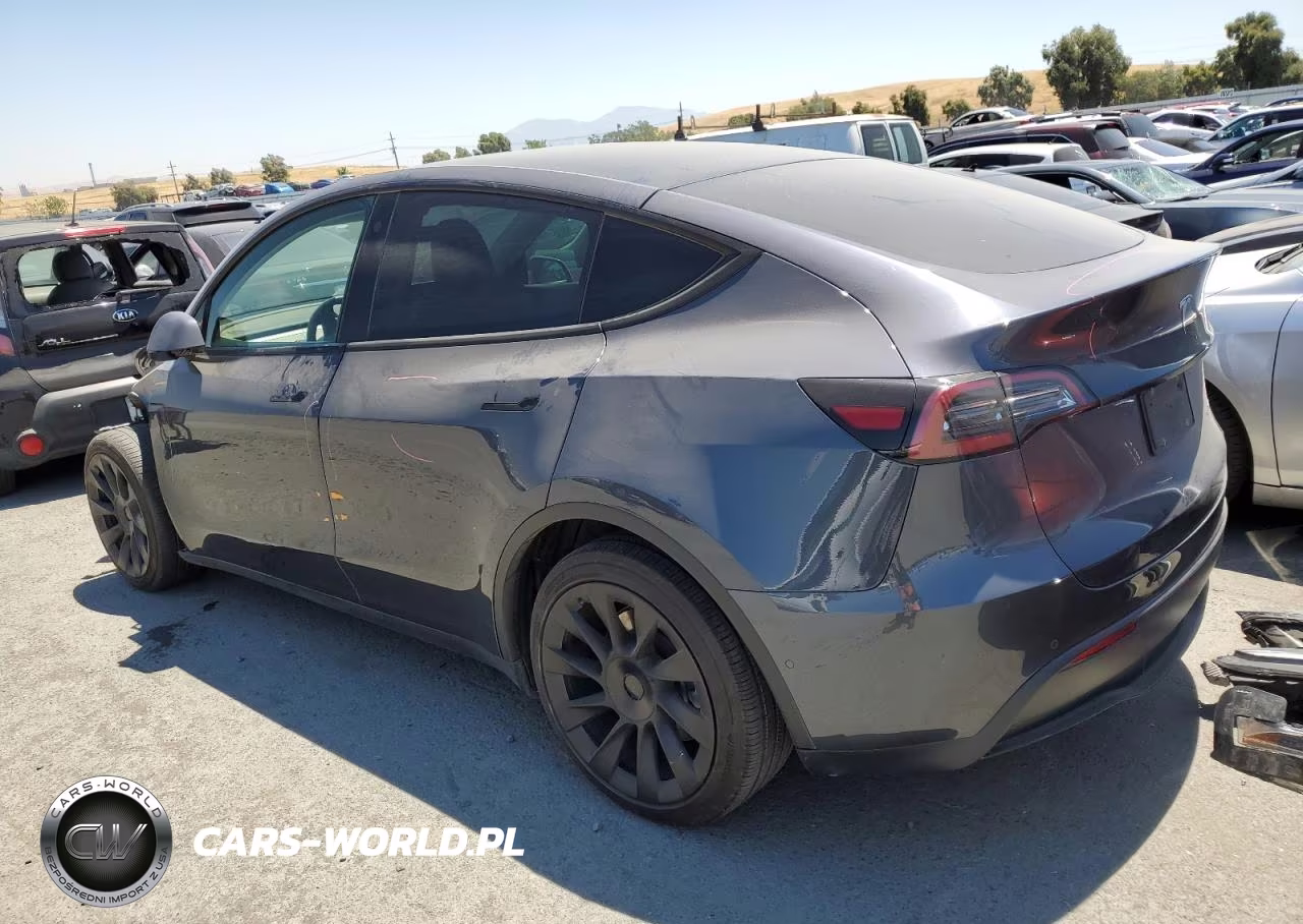 2022 Tesla Model Y VIN:7SAYGDEE2NF387253 - 2