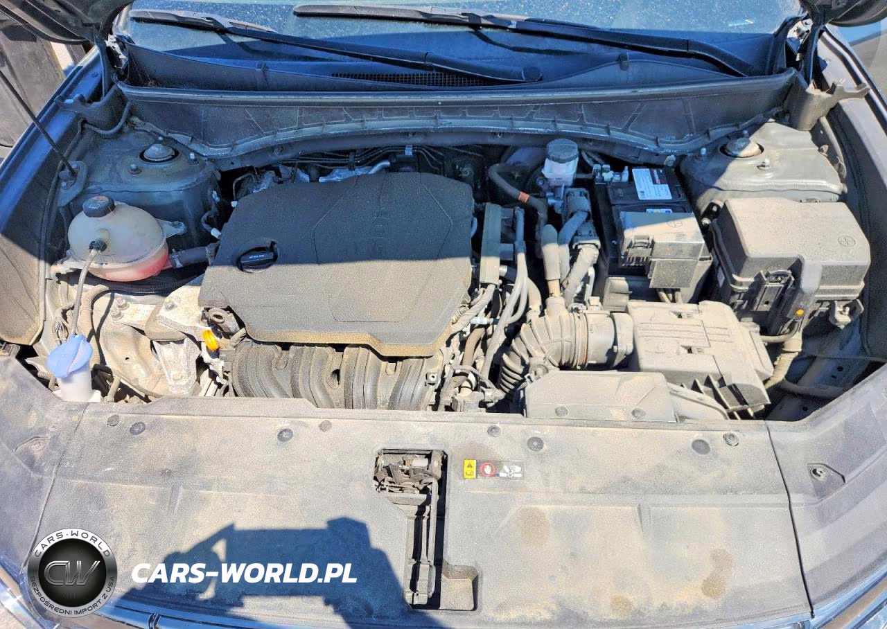 2023 Hyundai Tucson Limited VIN:5NMJECAE6PH217791 - 12