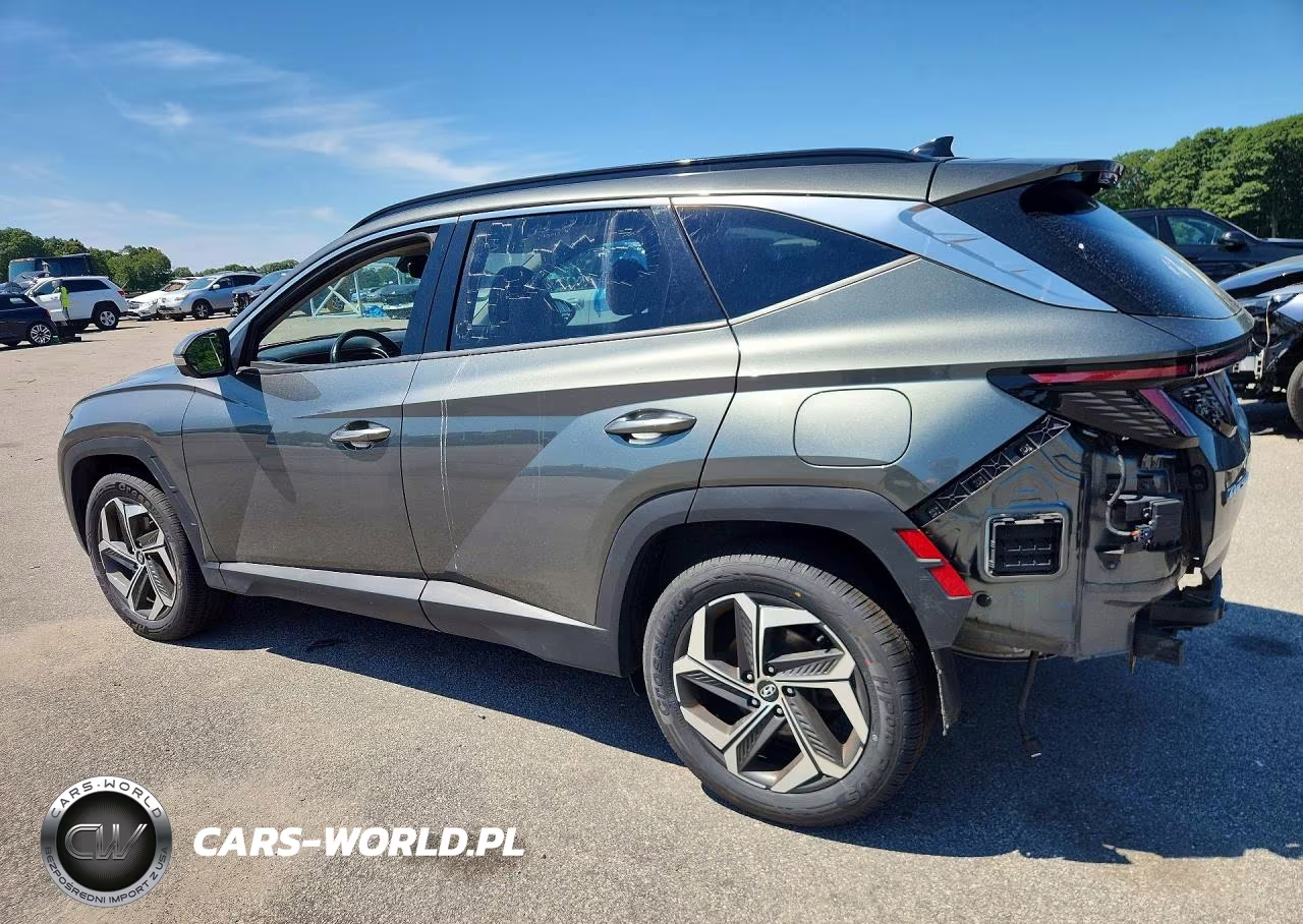 2023 Hyundai Tucson Limited VIN:5NMJECAE6PH217791 - 2