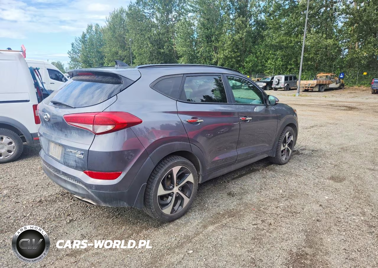 2016 Hyundai Tucson Limited VIN:KM8J3CA2XGU179255 - 3