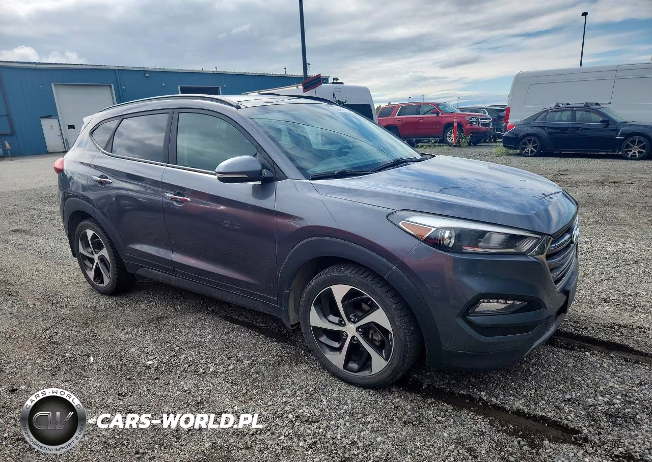 2016 Hyundai Tucson Limited VIN:KM8J3CA2XGU179255 - 4