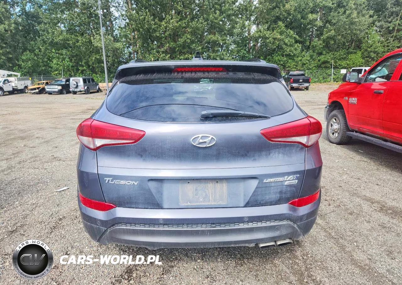 2016 Hyundai Tucson Limited VIN:KM8J3CA2XGU179255 - 6