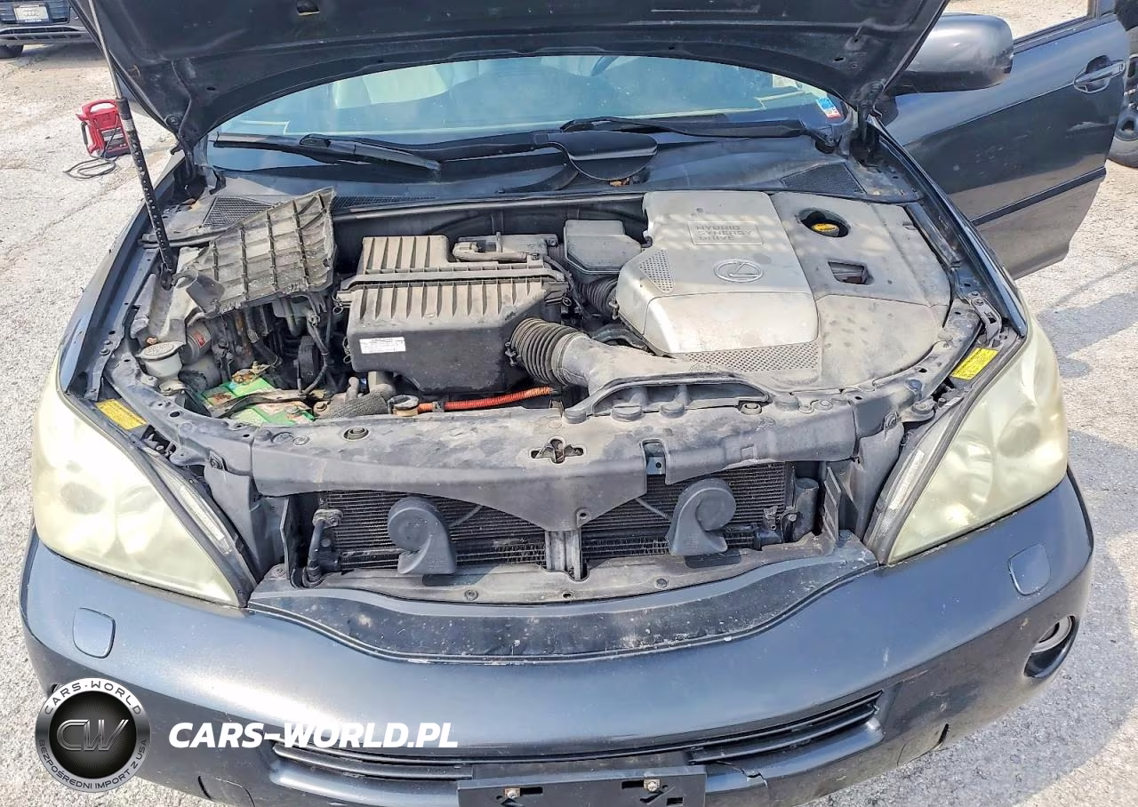 2006 Lexus Rx 400 VIN:JTJGW31U062000591 - 12
