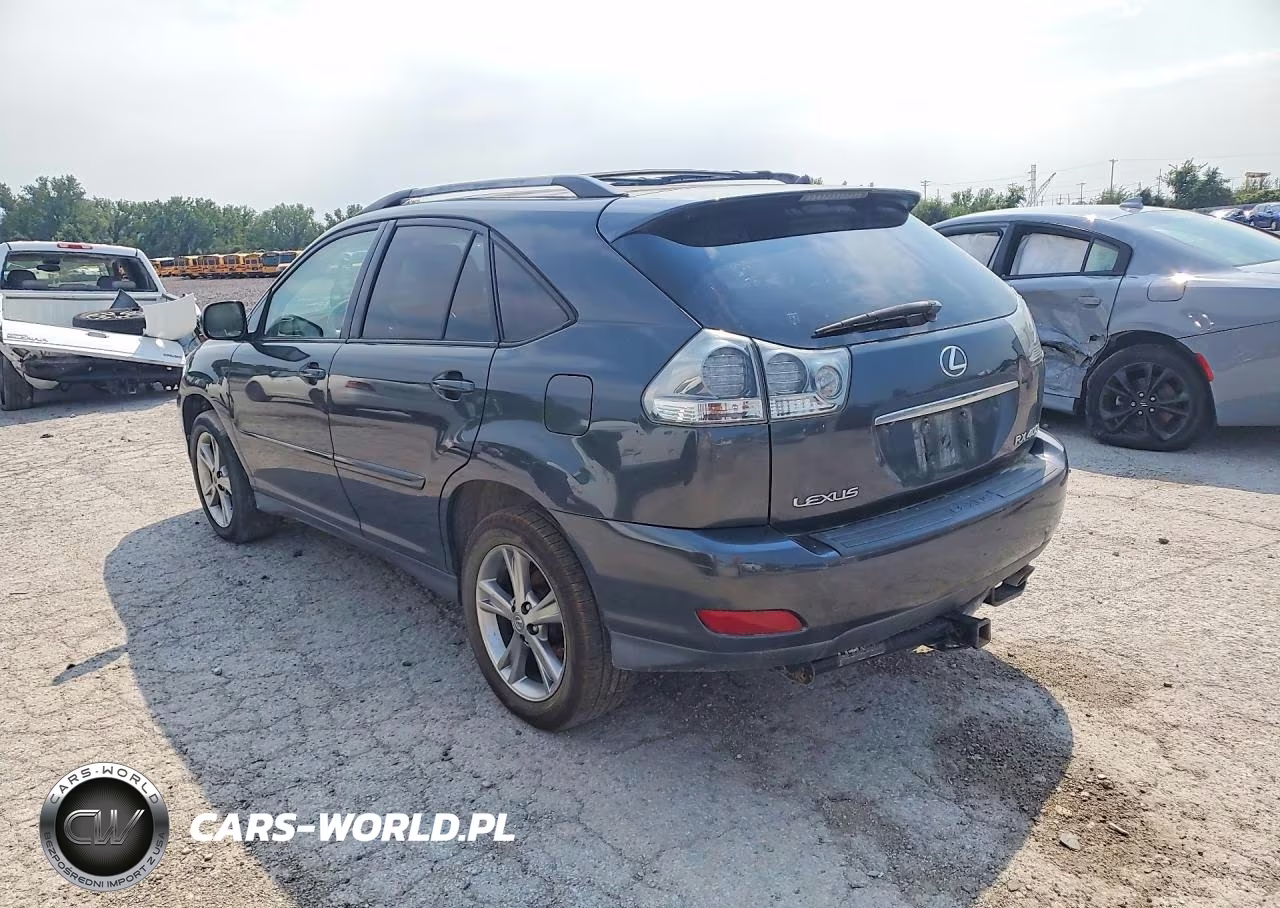 2006 Lexus Rx 400 VIN:JTJGW31U062000591 - 2