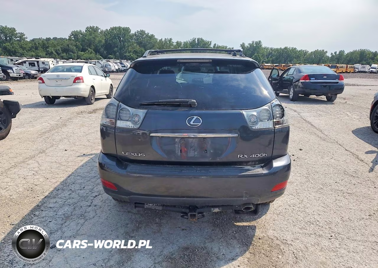 2006 Lexus Rx 400 VIN:JTJGW31U062000591 - 6