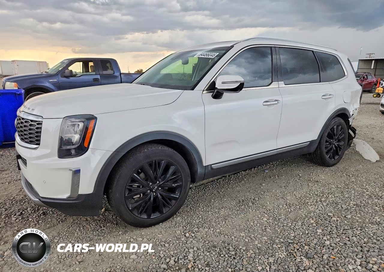 2021 Kia Telluride Sx VIN:5XYP5DHC3MG102401 - 1