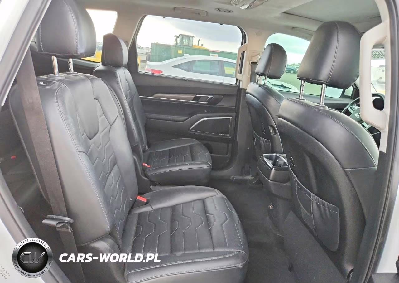 2021 Kia Telluride Sx VIN:5XYP5DHC3MG102401 - 11