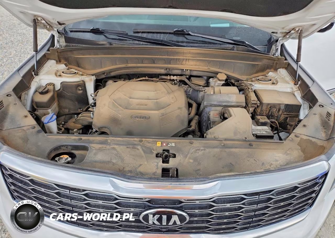 2021 Kia Telluride Sx VIN:5XYP5DHC3MG102401 - 12