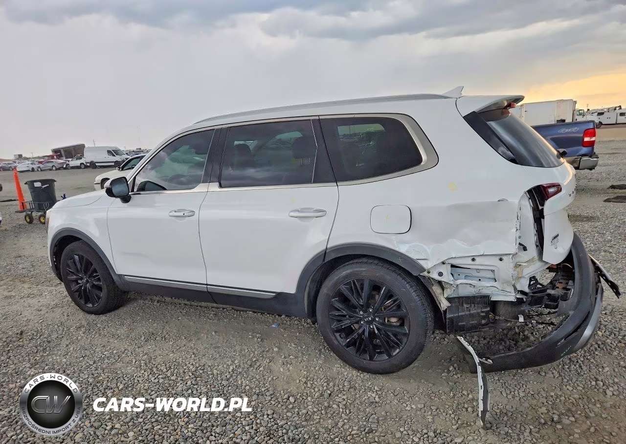 2021 Kia Telluride Sx VIN:5XYP5DHC3MG102401 - 2