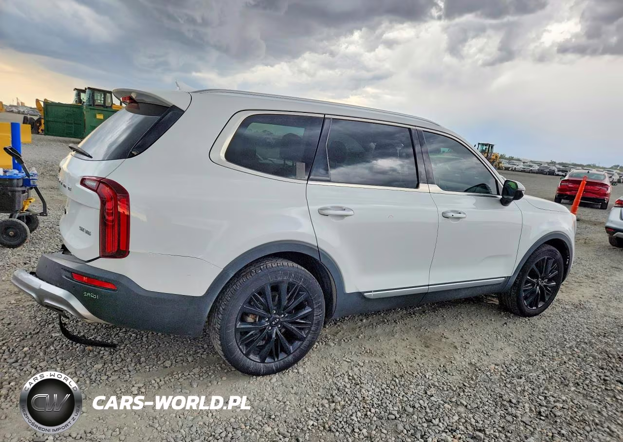 2021 Kia Telluride Sx VIN:5XYP5DHC3MG102401 - 3