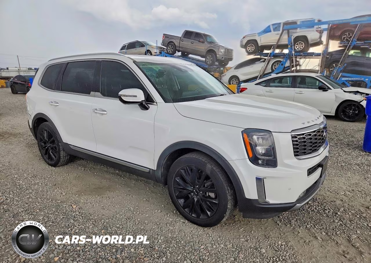 2021 Kia Telluride Sx VIN:5XYP5DHC3MG102401 - 4
