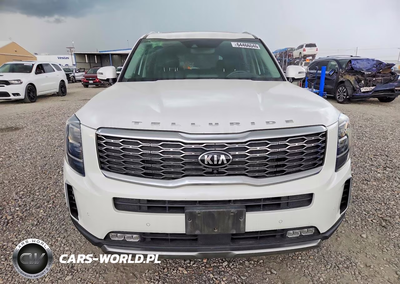 2021 Kia Telluride Sx VIN:5XYP5DHC3MG102401 - 5
