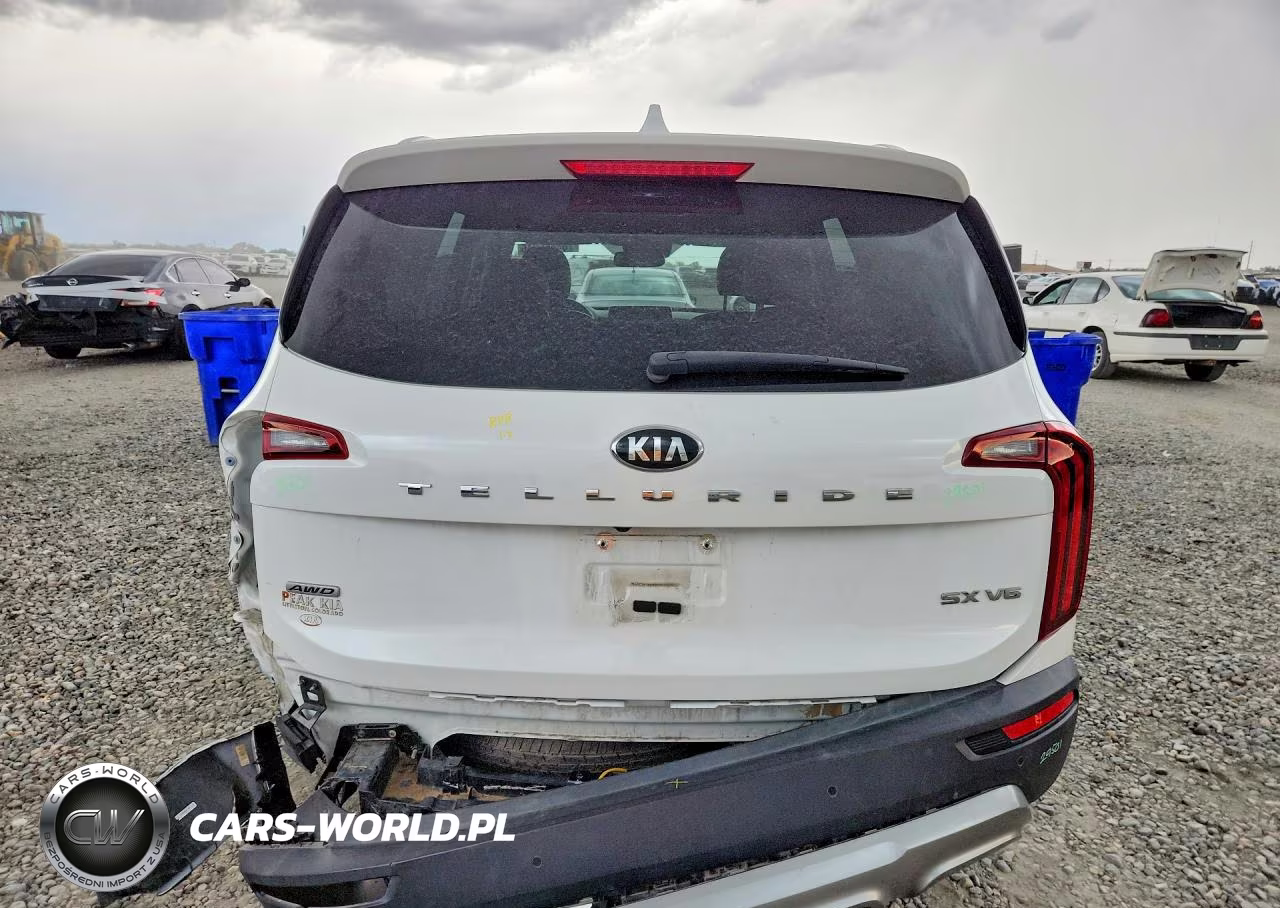 2021 Kia Telluride Sx VIN:5XYP5DHC3MG102401 - 6
