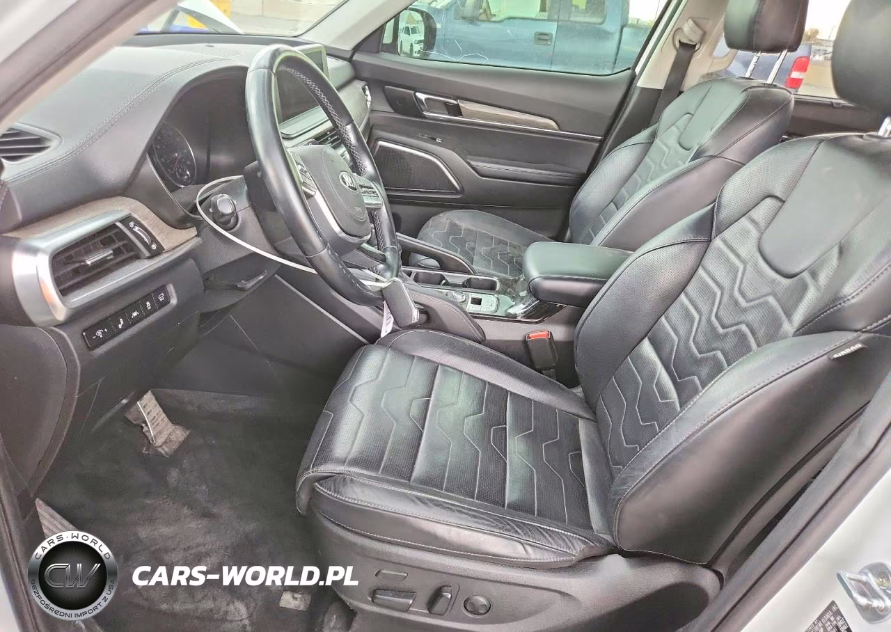 2021 Kia Telluride Sx VIN:5XYP5DHC3MG102401 - 7