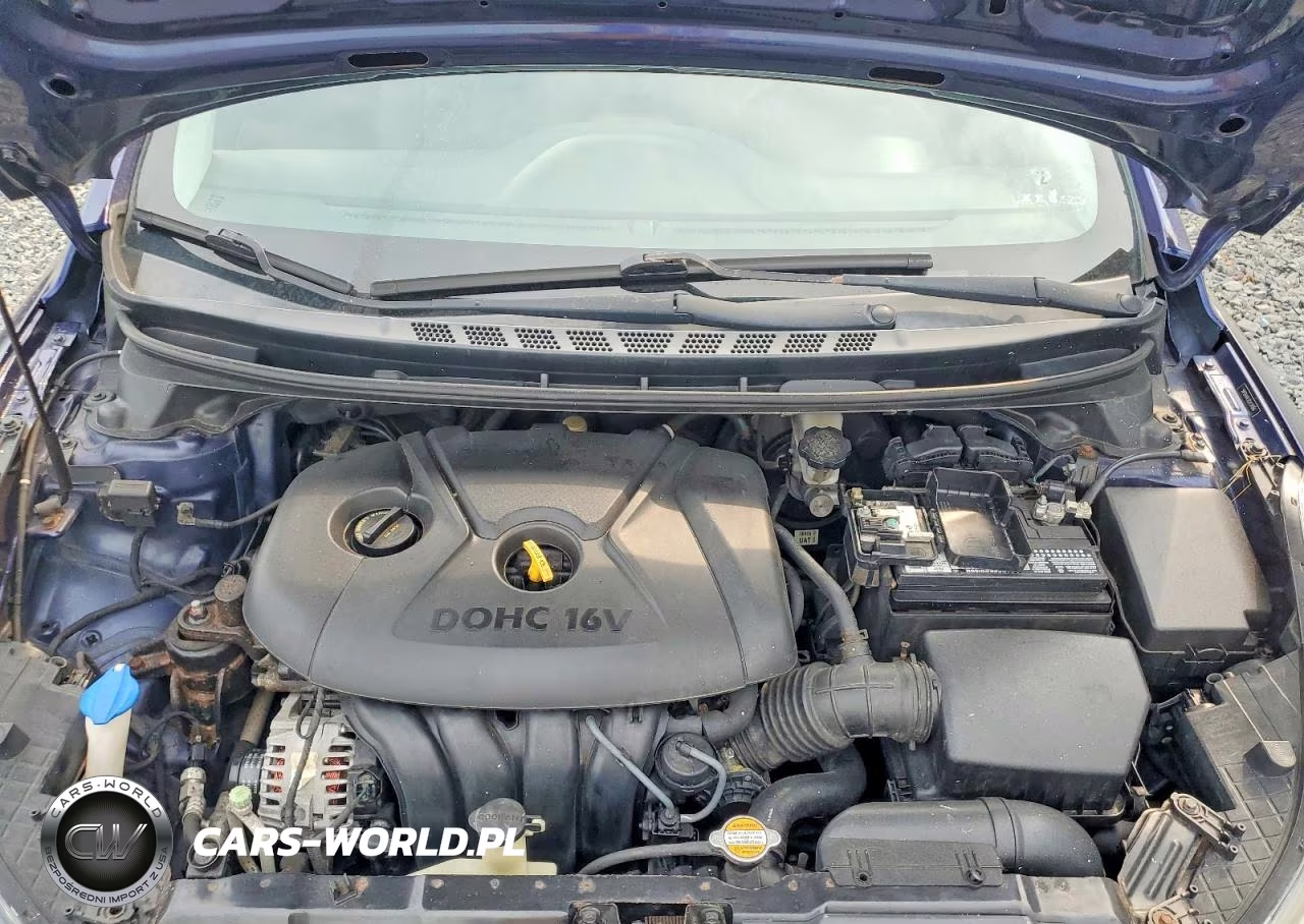 2012 Hyundai Elantra Gls VIN:5NPDH4AEXCH131066 - 11