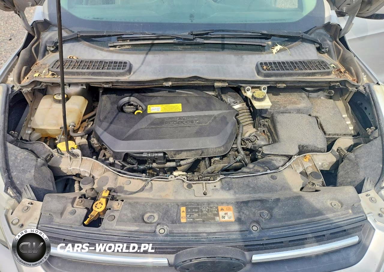 2014 Ford Escape Se VIN:1FMCU0GXXEUD33032 - 11