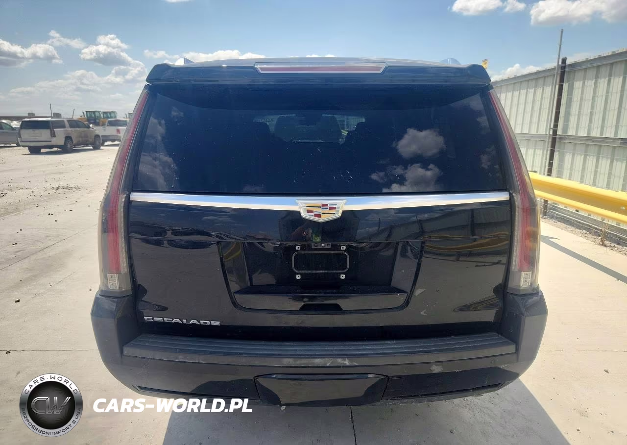 2019 Cadillac Escalade Esv Premium Luxury VIN:1GYS4JKJ6KR274577 - 6