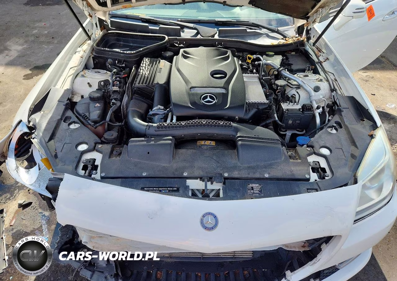 2016 Mercedes-Benz Slk 300 VIN:WDDPK3JA0GF121898 - 11