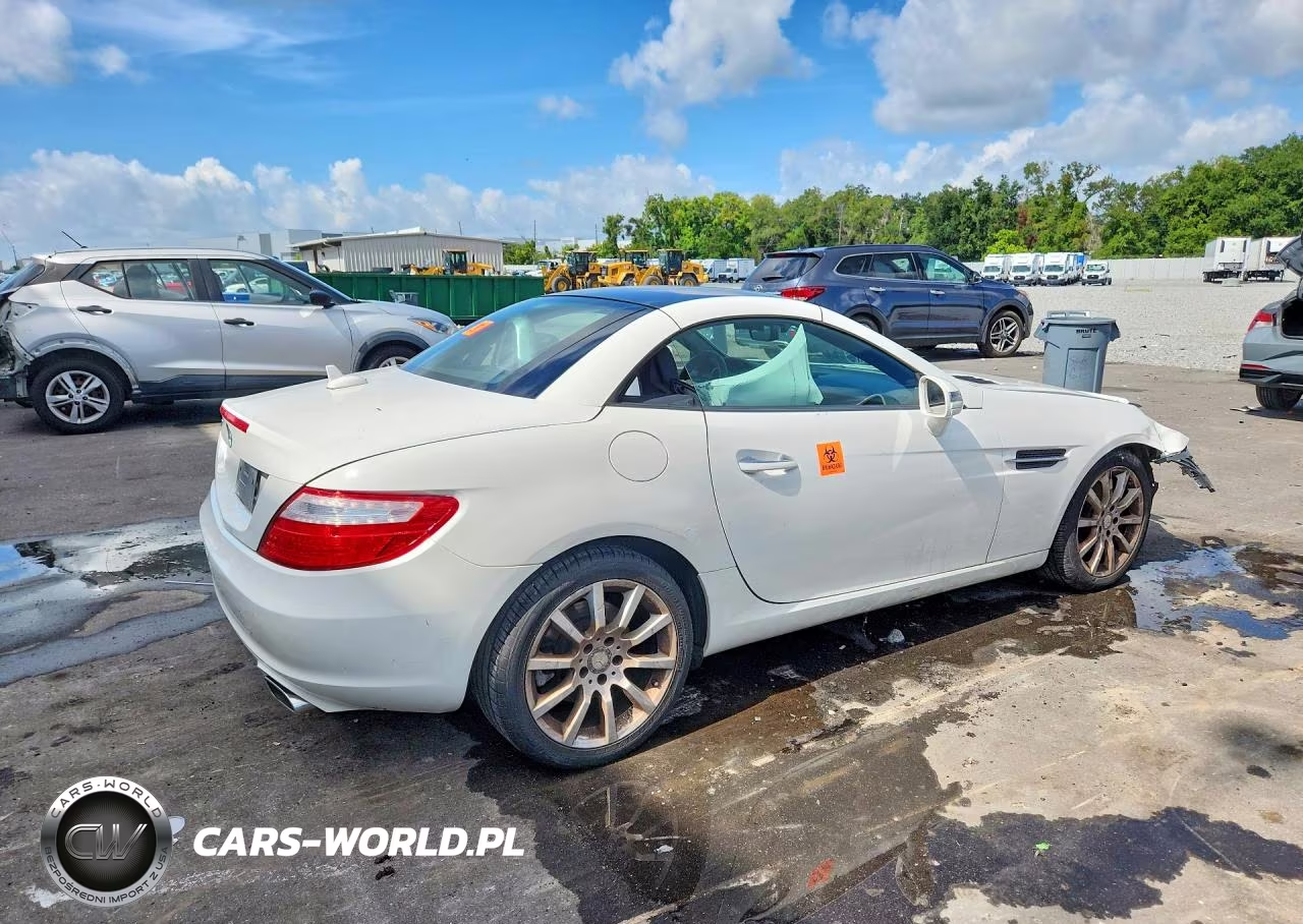 2016 Mercedes-Benz Slk 300 VIN:WDDPK3JA0GF121898 - 3