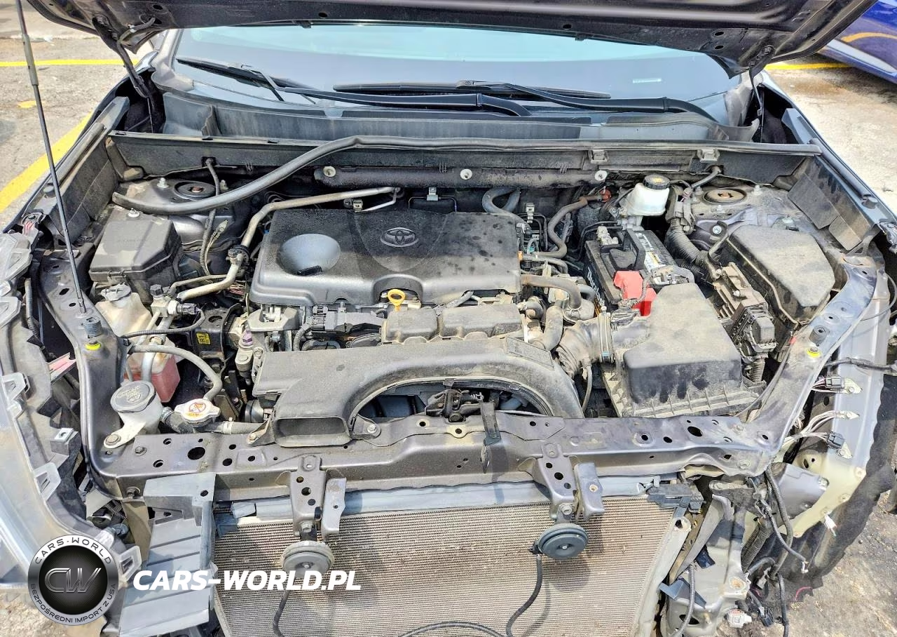 2019 Toyota Rav4 Xle VIN:2T3P1RFV1KW075405 - 12