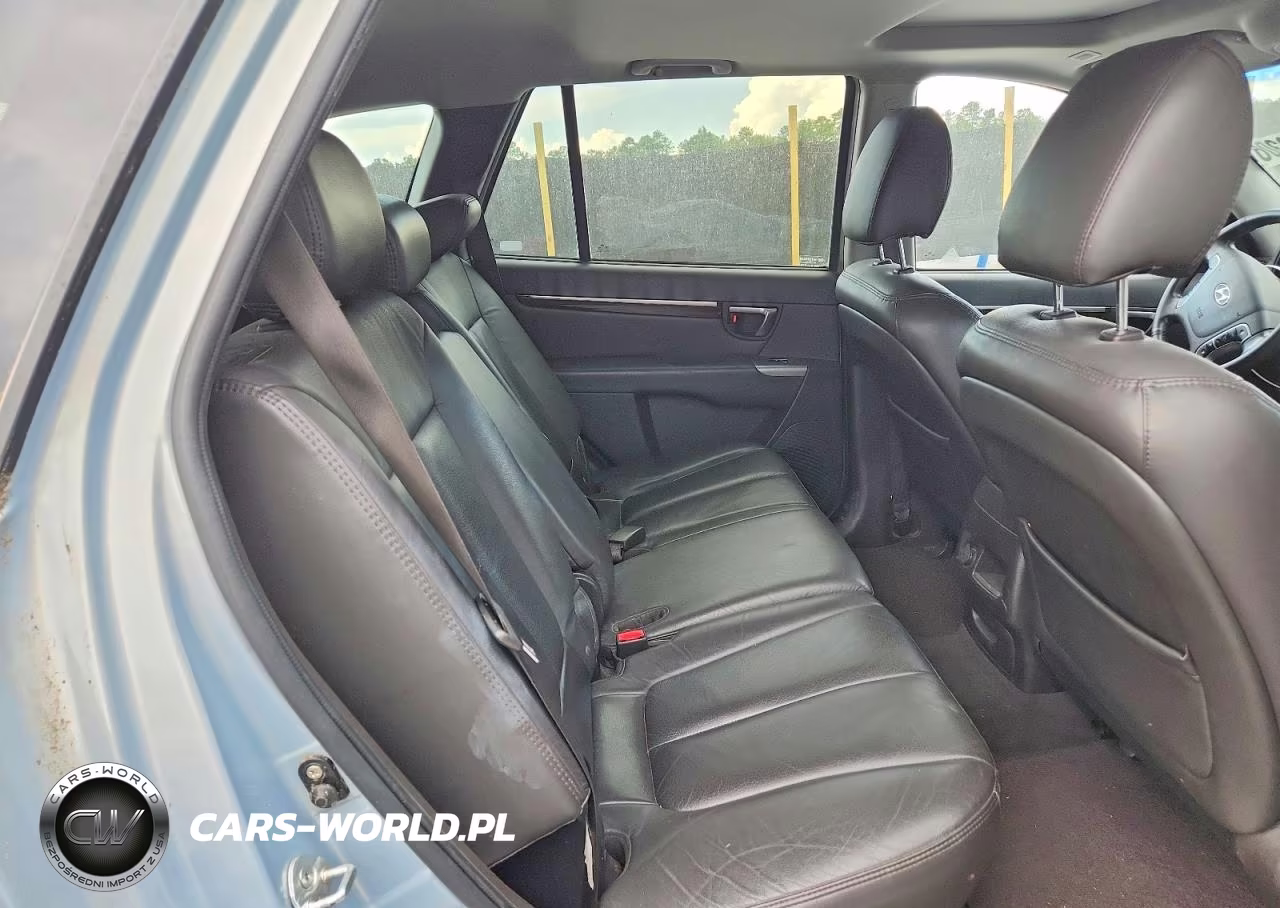 2010 Hyundai Santa Fe Limited VIN:5NMSK4AG0AH407839 - 10