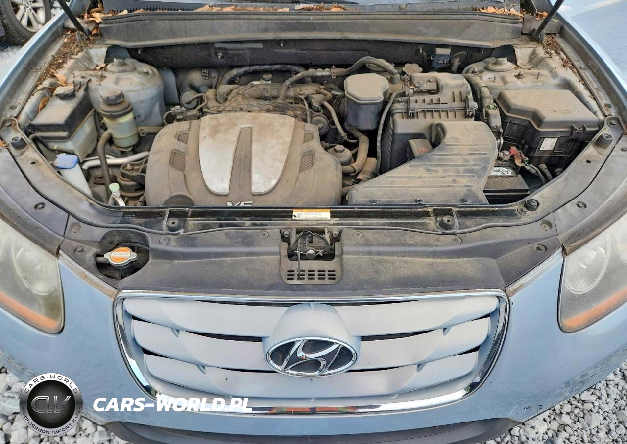 2010 Hyundai Santa Fe Limited VIN:5NMSK4AG0AH407839 - 11
