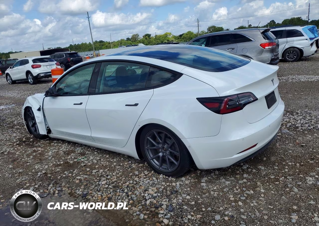 2021 Tesla Model 3 VIN:5YJ3E1EA2MF854226 - 2