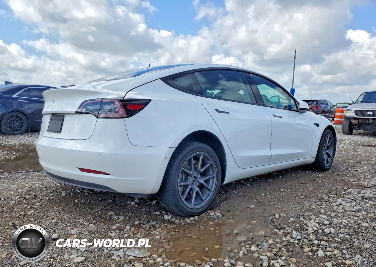 2021 Tesla Model 3 VIN:5YJ3E1EA2MF854226 - 3