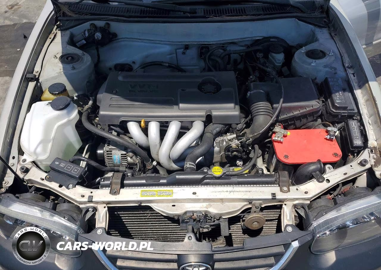 2002 Toyota Corolla S VIN:1NXBR12E12Z655160 - 11