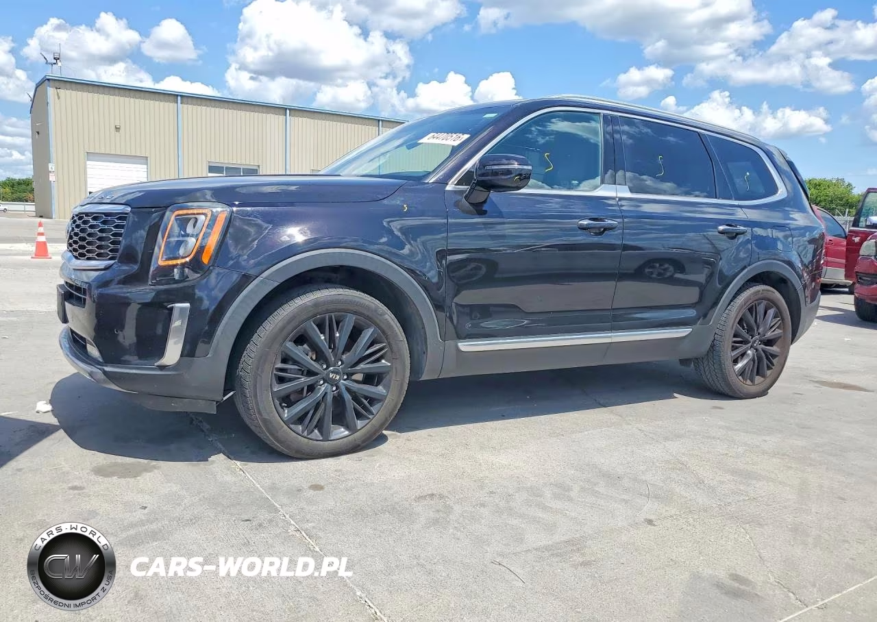 2020 Kia Telluride Sx VIN:5XYP5DHCXLG039831 - 1