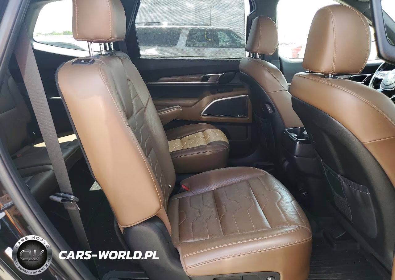 2020 Kia Telluride Sx VIN:5XYP5DHCXLG039831 - 10