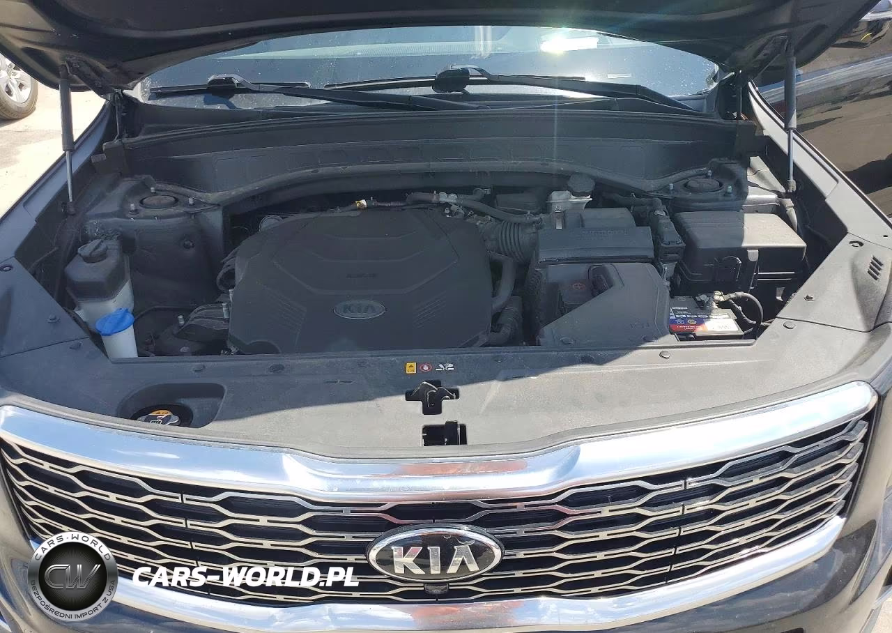 2020 Kia Telluride Sx VIN:5XYP5DHCXLG039831 - 11