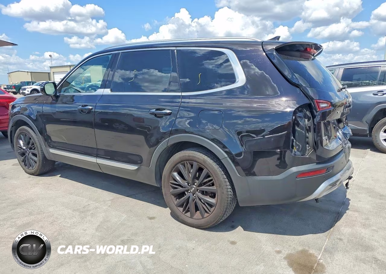 2020 Kia Telluride Sx VIN:5XYP5DHCXLG039831 - 2