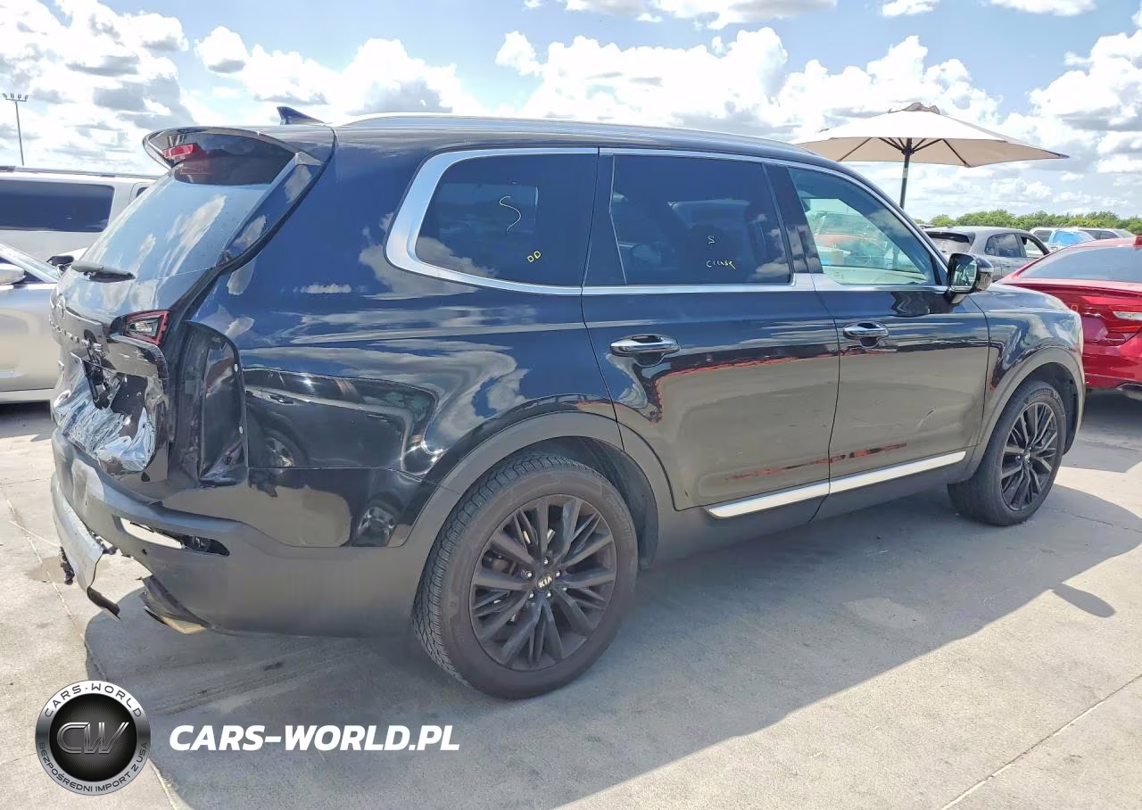 2020 Kia Telluride Sx VIN:5XYP5DHCXLG039831 - 3