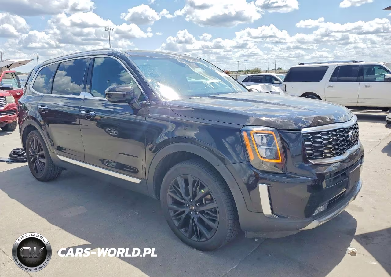 2020 Kia Telluride Sx VIN:5XYP5DHCXLG039831 - 4